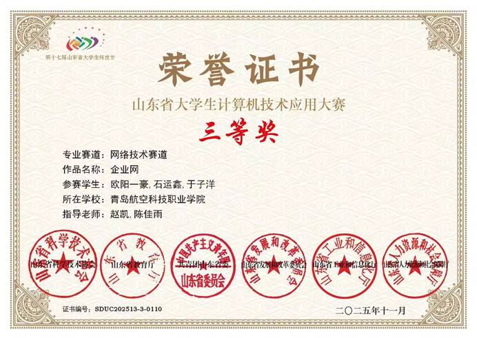 山东省大学生计算机应用技术大赛_1